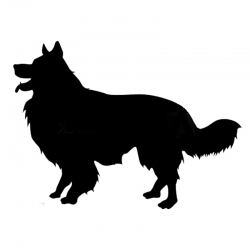 Grafika z podobiznÄ… psa Border Collie